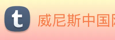 威尼斯中国网站 Logo